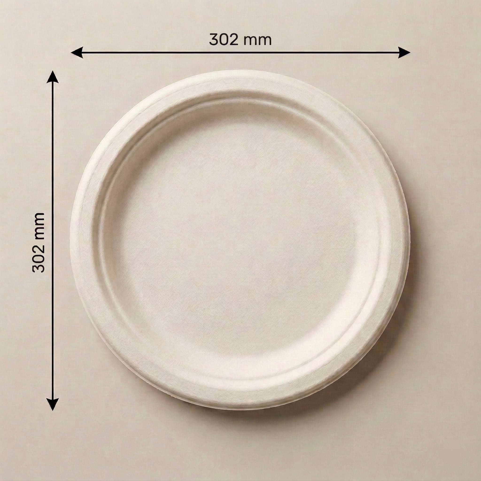 12 Inch Round Plate view 1